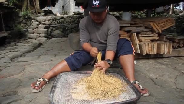 CAMBULO, PHILIPPINES - JANUARI 22, 2018: Lokale man met geoogste rijst in Cambulo dorp, Luzon eiland — Stockvideo
