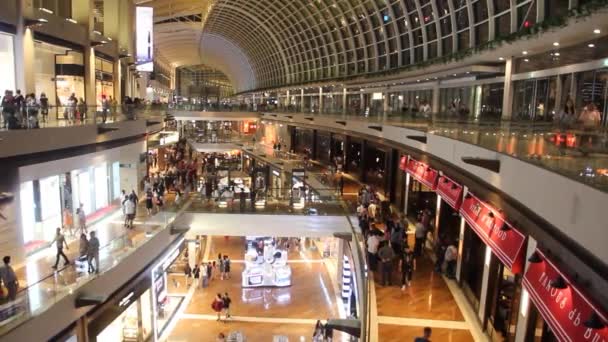 SINGAPUR, SINGAPUR - 11 DE MARZO DE 2018: Interior de The Shoppes en el centro comercial Marina Bay Sands, Singapur — Vídeos de Stock