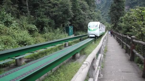 WULINGYUAN, CHINA - AUGUST 9, 2018: Monorail Mini Trein in Wulingyuan landschap en historisch interessant gebied in Zhangjiajie National Forest Park in de provincie Hunan, China — Stockvideo