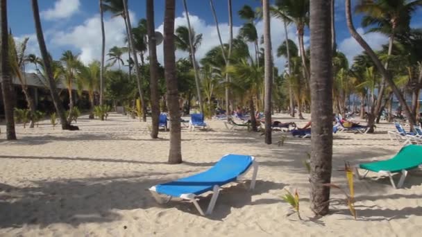 PUNTA CANA, DOMINISCHE REPUBLIEK - DECEMBER 8, 2018: Palmen op het strand van Bavaro, Dominicaanse Republiek. — Stockvideo