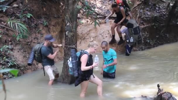 TAMAN NEGARA, MALASIA - 16 DE MARZO DE 2018: Los turistas están cruzando un arroyo en la selva del parque nacional Taman Negara — Vídeos de Stock