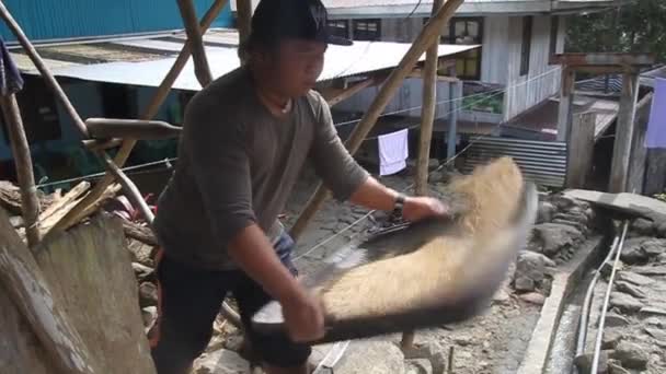 CAMBULO, FILIPINAS - 22 DE ENERO DE 2018: Hombre local que echa arroz en la aldea de Cambulo, isla de Luzón, Filipinas — Vídeos de Stock