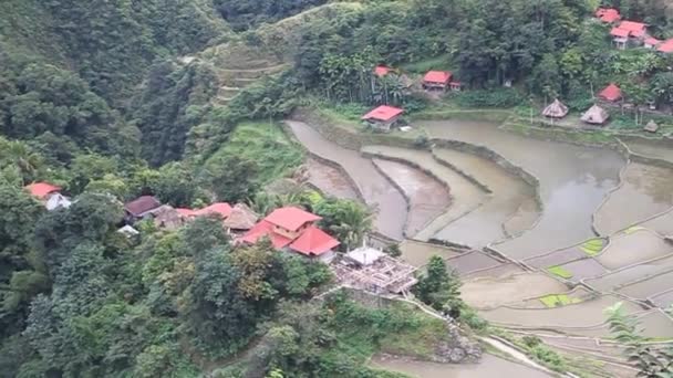 Terrazze di riso di Batad, provincia di Ifugao — Video Stock
