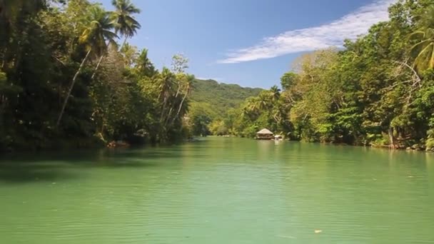 Άποψη του ποταμού Loboc στο νησί Bohol — Αρχείο Βίντεο
