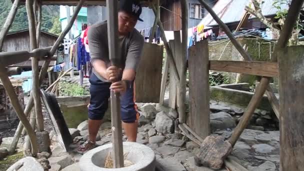 CAMBULO, PHILIPPINES - JANUARI 22, 2018: Lokal man bankande ris i Cambulo byn, Luzon ön — Stockvideo