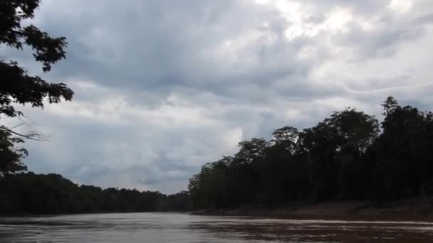 Ciemne chmury nad rzeką Kinabatangan — Wideo stockowe