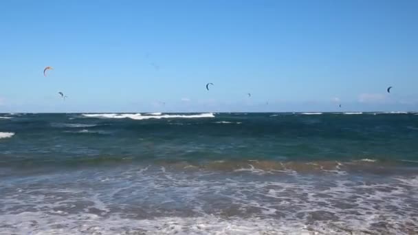 Kitesurf em Bahoruco, República Dominicana — Vídeo de Stock