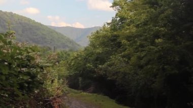 Azerbaycan 'ın Zaqatala yakınlarındaki Kafkasya dağlarında şiddetli yağmur yağdı