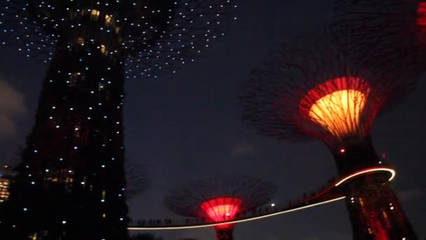 SINGAPOUR, SINGAPOUR - 11 MARS 2018 : Vue en soirée de Supertree Grove à Singapour — Video