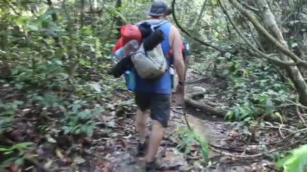 TAMAN NEGARA, MALAYSIA - 16 MARZO 2018: I turisti camminano nella giungla del parco nazionale Taman Negara — Video Stock