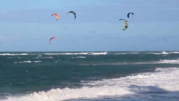 CABARETE, DOMINICAN REPUBLIC - DECEMBER 13, 2018: Kitesurfers near Cabarete beach, Dominican Republic Video Clip