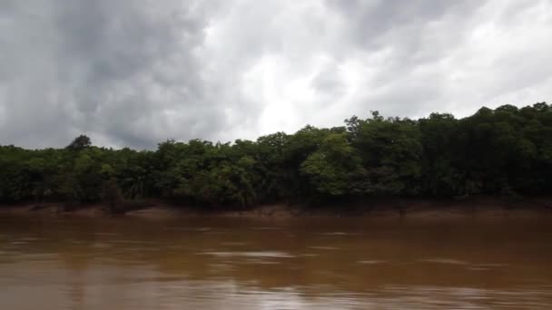 Μαύρα σύννεφα πάνω από τον ποταμό Kinabatangan — Αρχείο Βίντεο