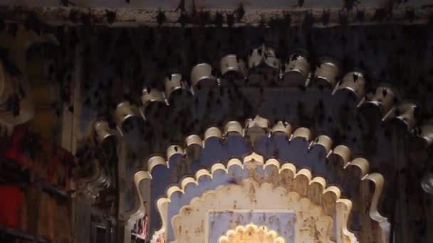 Fladdermöss i Garh Palace i Bundi, delstaten Rajasthan — Stockvideo