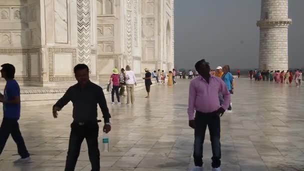 Taj Mahal Famoso Agra Índia — Vídeo de Stock
