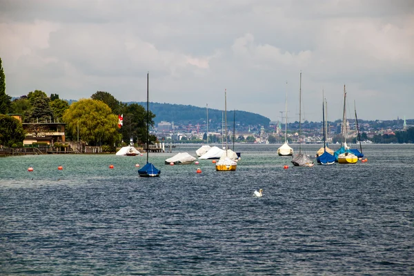 Plachetnice na Curyšské jezero — Stock fotografie