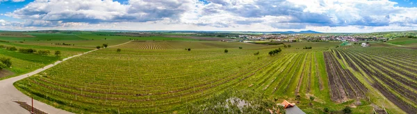Campo del sur de Moravia —  Fotos de Stock