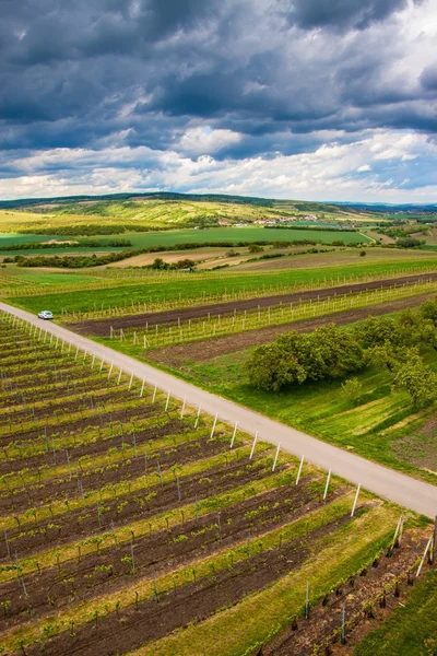 Güney Moravia kırsal — Stok fotoğraf