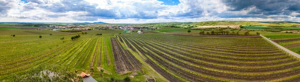 Campo del sur de Moravia —  Fotos de Stock