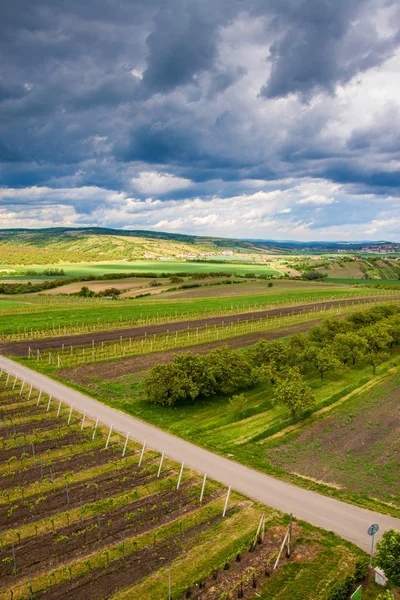 Campo do sul da Morávia — Fotografia de Stock