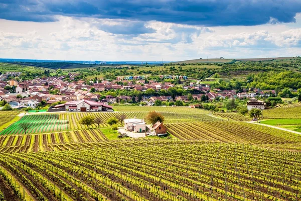 Campagna della Moravia meridionale — Foto Stock