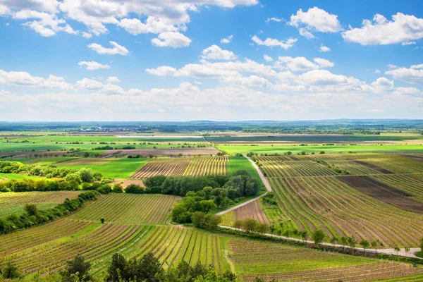 Landschaft Südmährens — Stockfoto