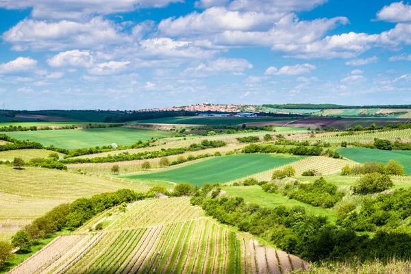 Campagna della Moravia meridionale — Foto Stock