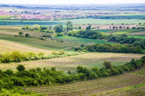 Landschaft Südmährens — Stockfoto