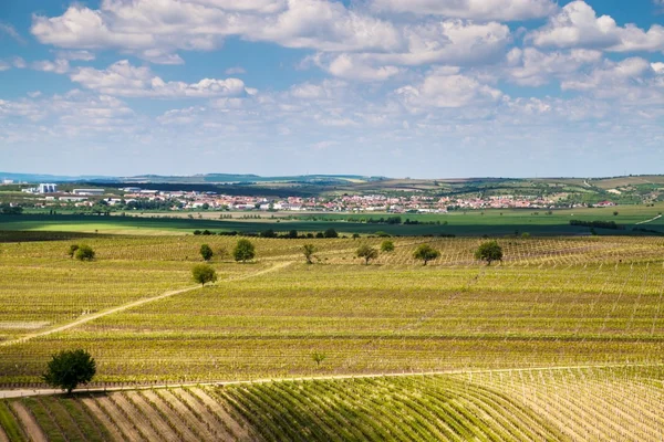 Güney Moravia kırsal — Stok fotoğraf