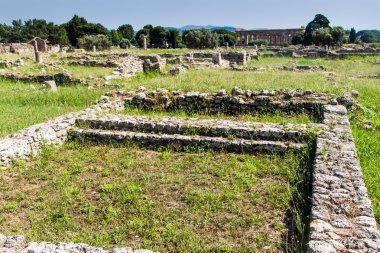 Antik Yunan şehir Paestum kalıntıları