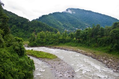 sikkim orman Nehri