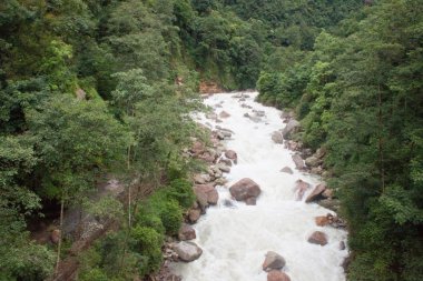 sikkim orman Nehri