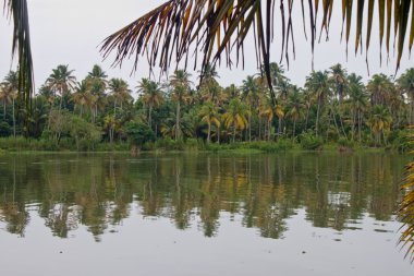 Önemsizden, Kerala