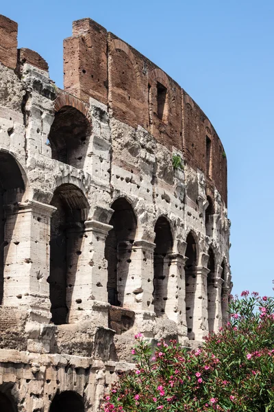 Colosseum in Rome, Italië — Stockfoto