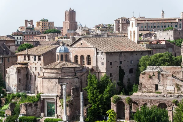 Forum Romanum Roma kalıntıları