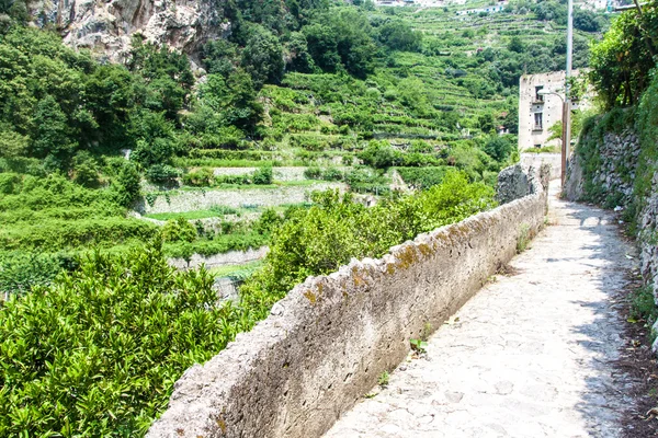 Vista de un sendero del pueblo —  Fotos de Stock