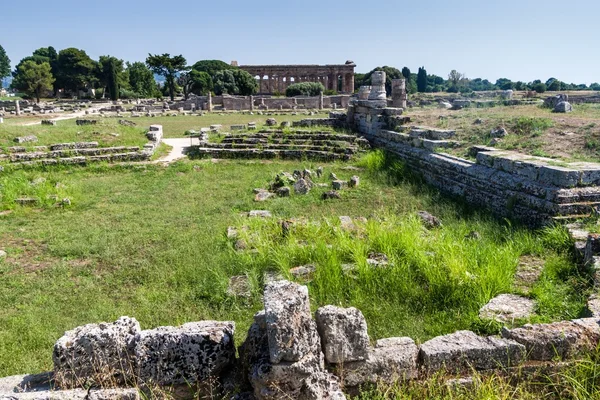 Ruiny starověkého řeckého města Paestum — Stock fotografie