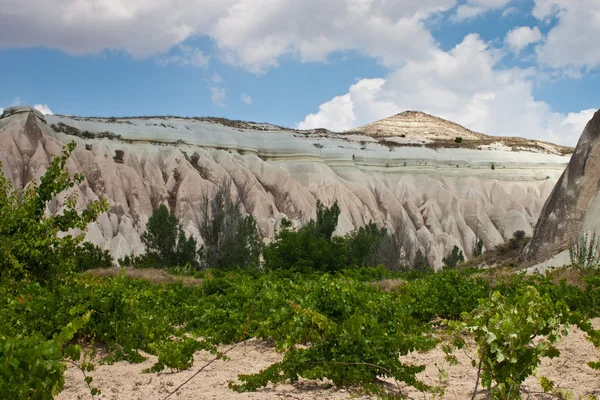 Unusual landscape in Cappadocia — Stock Photo, Image