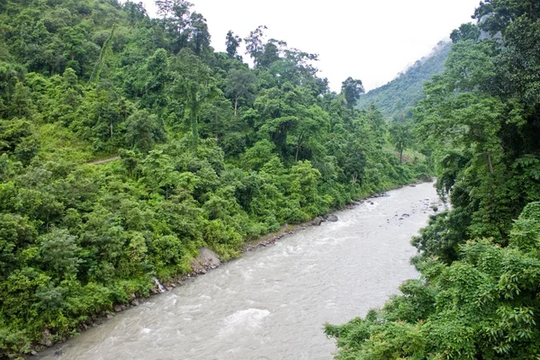 Fluss im Dschungel von Sikkim — Stockfoto