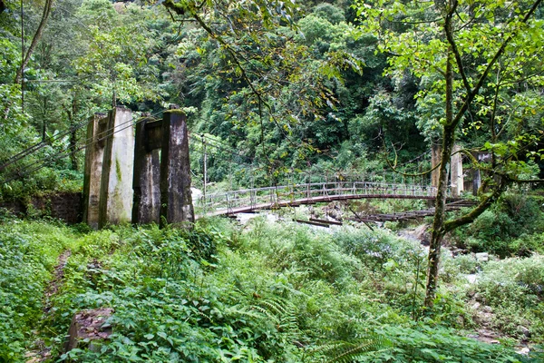 Ponte destruída numa selva — Fotografia de Stock