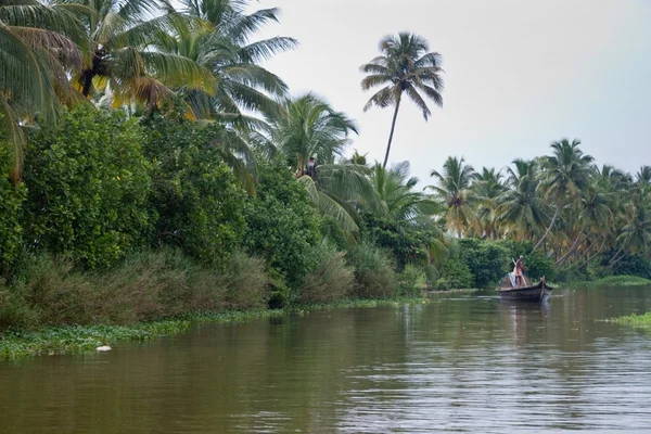 Backwaters, Indien — Stockfoto