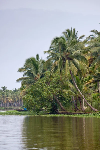 Backwaters, Kerala — Stockfoto