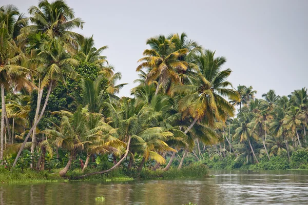 Backwaters, Kerala — Stock Photo, Image