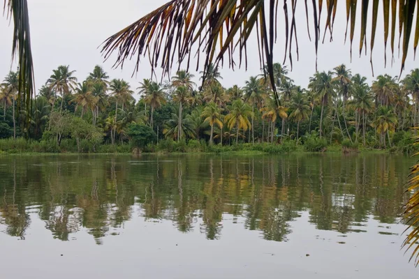 Backwaters, Kerala — Stockfoto