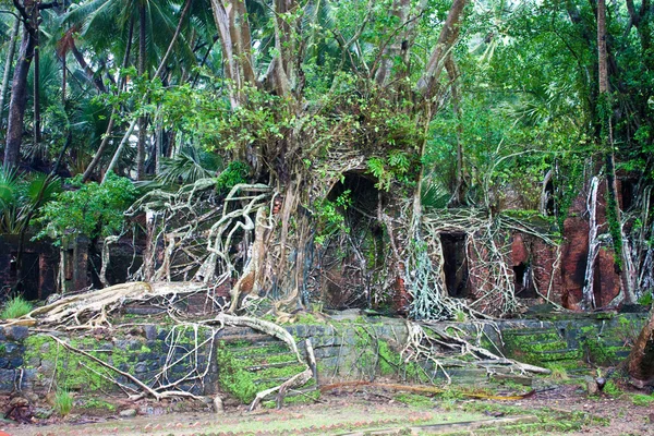 Ruin of abandoned building — Stock Photo, Image