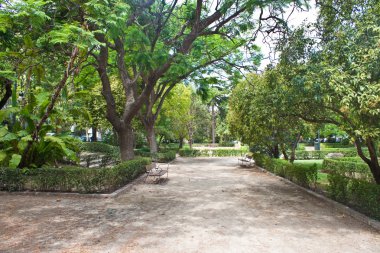 valencia park