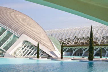 Valencia Sanat ve Bilim Şehri.