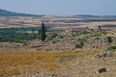 Volubilis 'teki Roma harabeleri