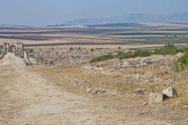 Volubilis 'teki Roma harabeleri