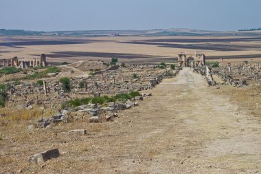 Volubilis 'teki Roma harabeleri