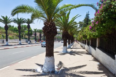 Avuç içi Meknes ile sokak